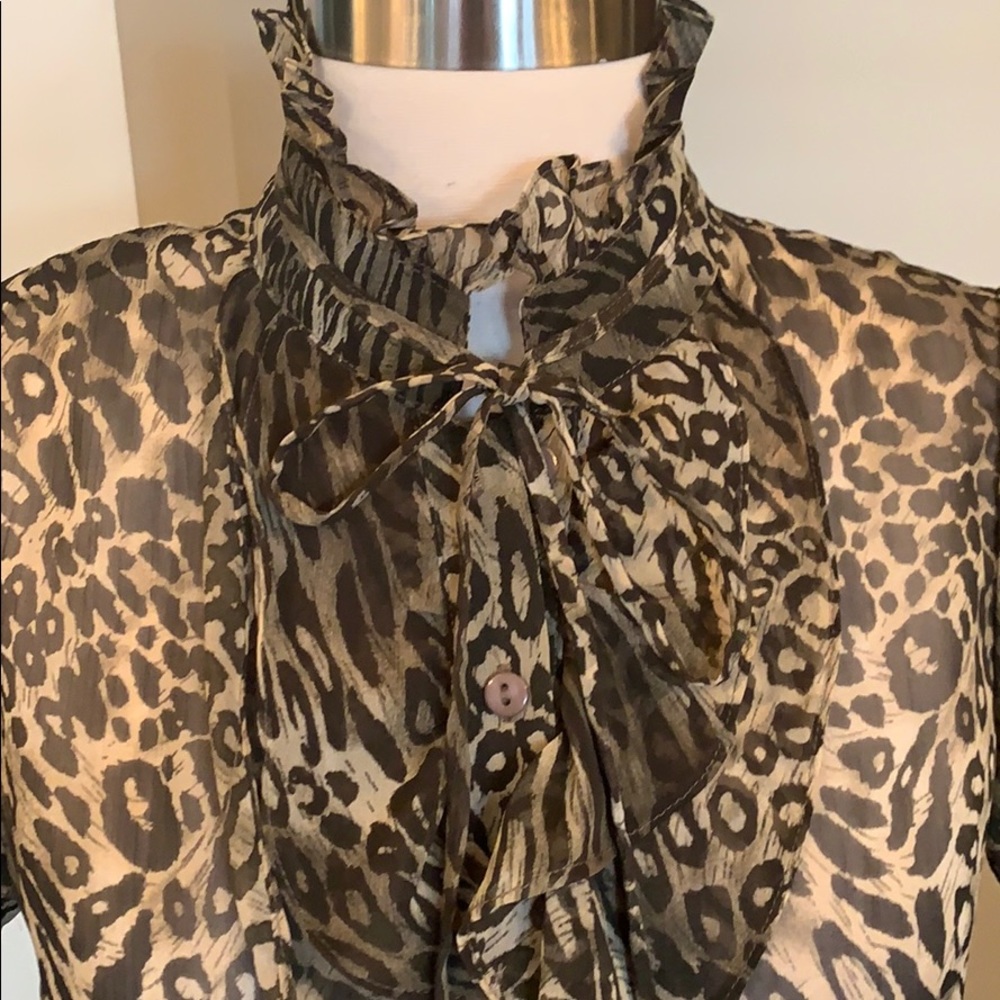 Beautiful Karlie sheer animal print top - Picture 4 of 6